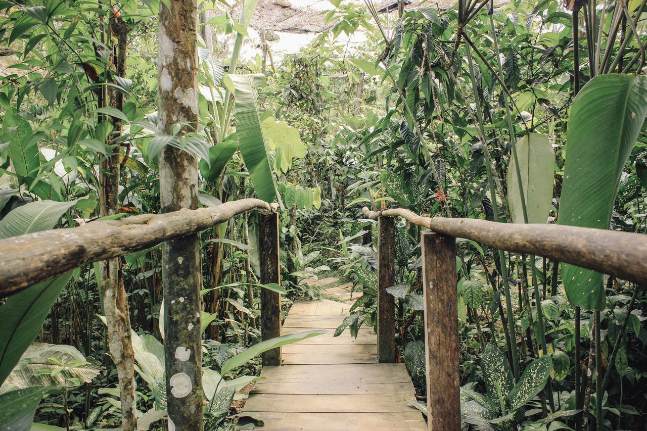 Libertad Jungle Lodge Yucuruche Zewnętrze zdjęcie