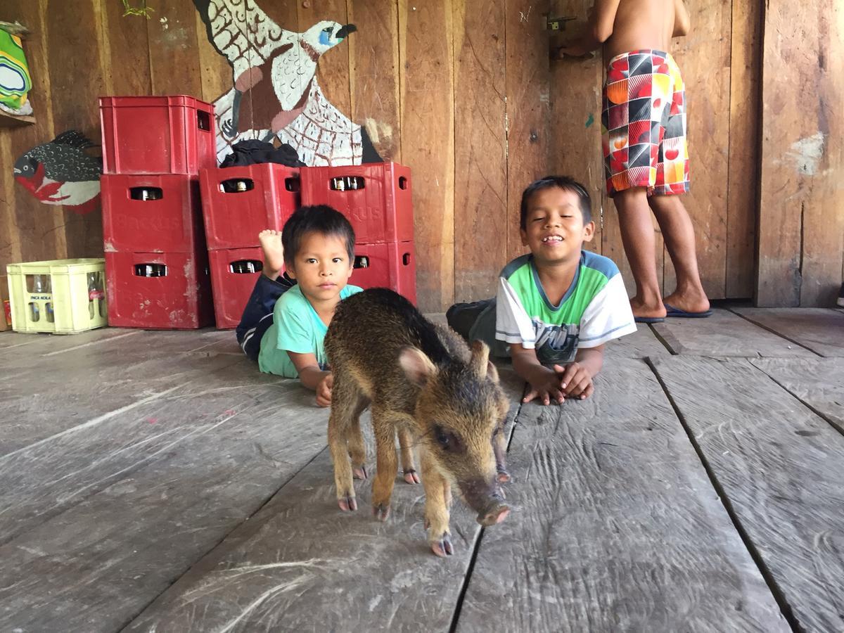 Libertad Jungle Lodge Yucuruche Zewnętrze zdjęcie